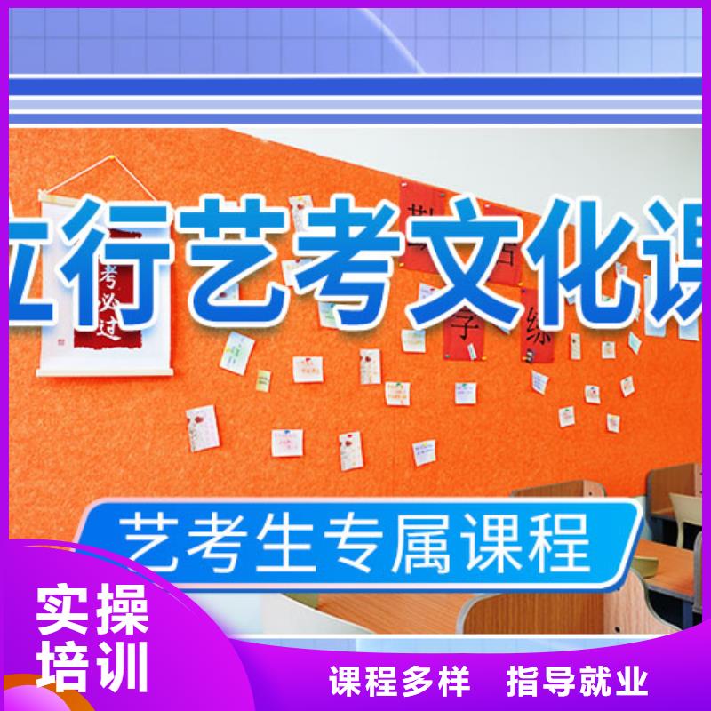 艺考文化课辅导艺考一对一教学高薪就业