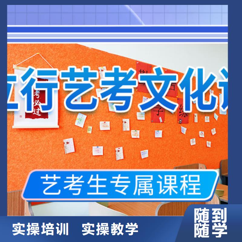 艺考文化课培训美术艺考老师专业