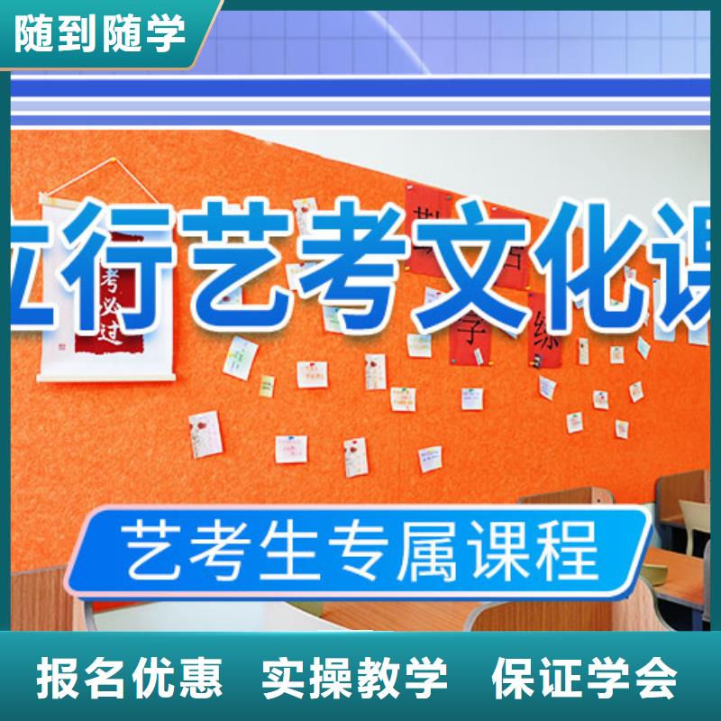 艺考文化课培训美术艺考老师专业