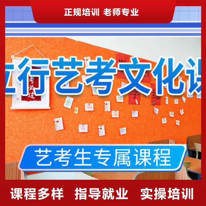 艺考文化课培训美术艺考老师专业