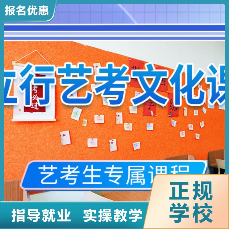 艺考文化课培训美术艺考老师专业