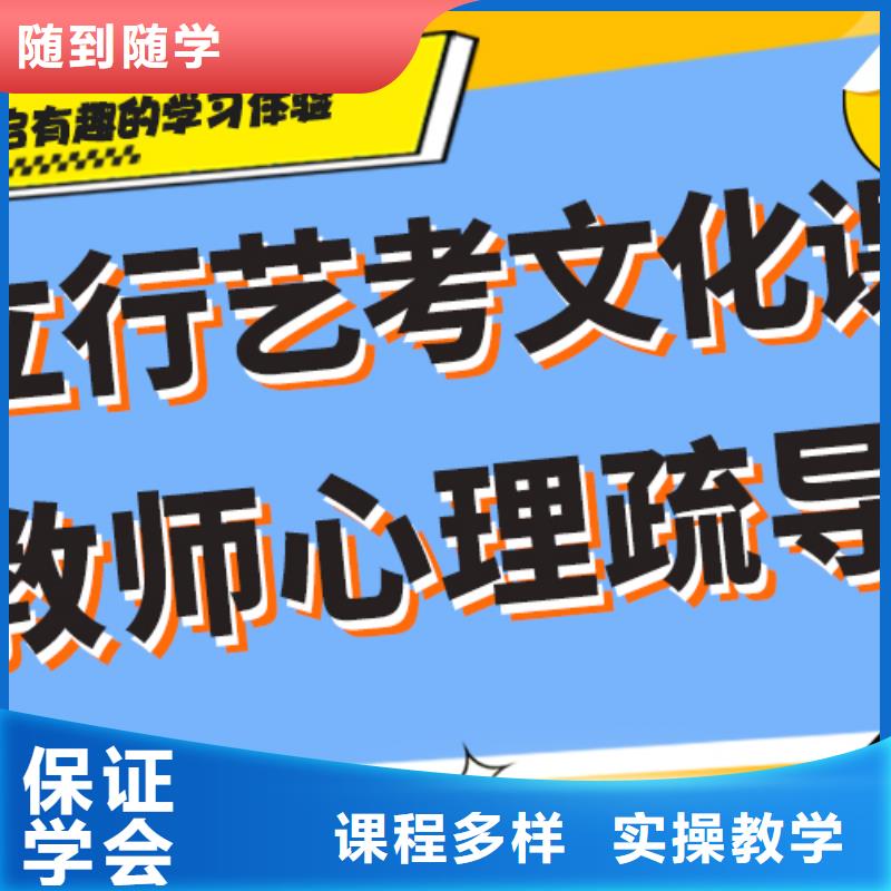 艺术生文化课培训机构有哪些