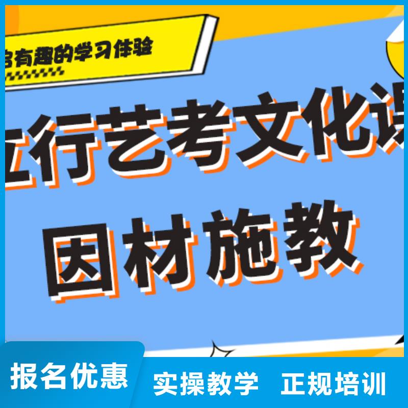 艺术生文化课培训机构有哪些
