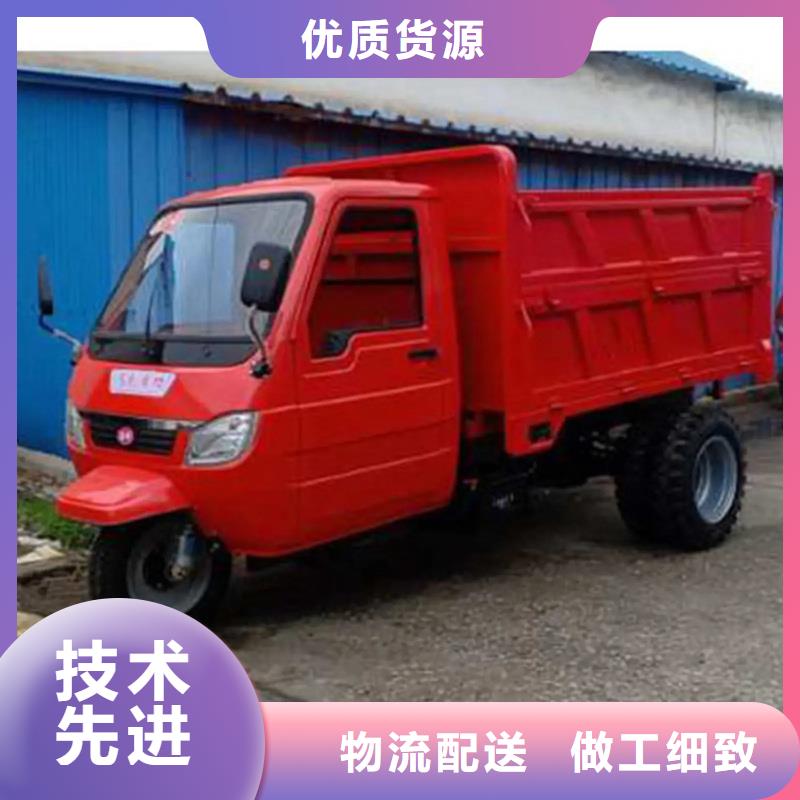 服务周到的（瑞迪通）柴油农用三轮车公司