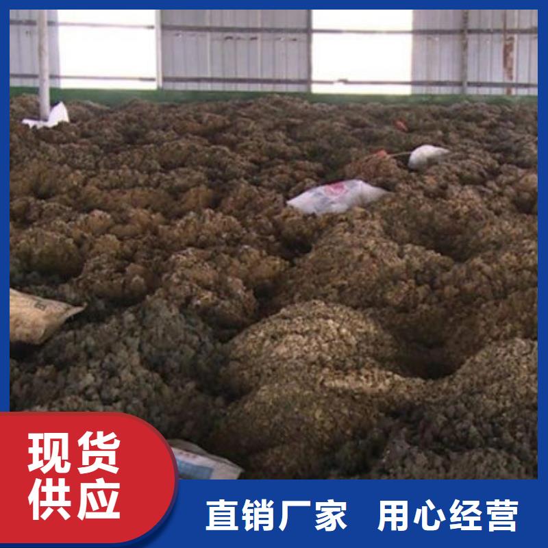 含铜泥_回收废旧光伏板专业评估