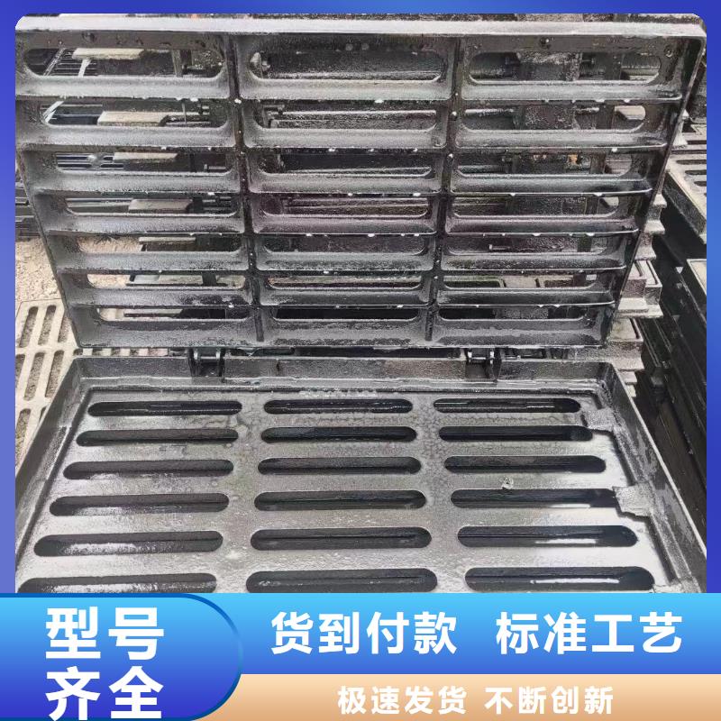 爬梯踏步球墨铸铁图集图片建通铸造厂家