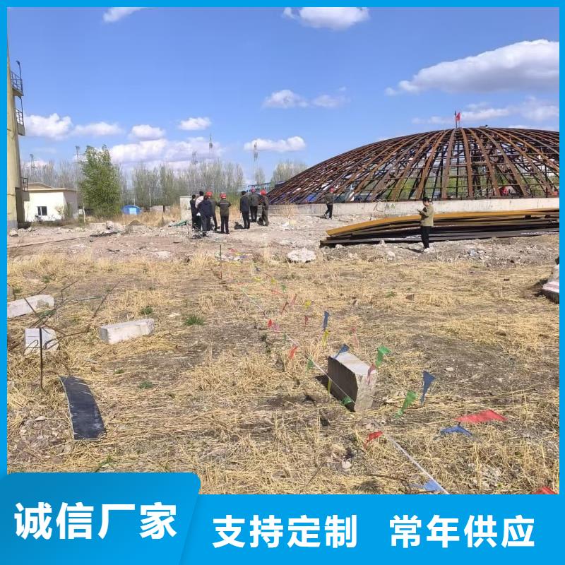 大型钢板仓实力过硬厂家