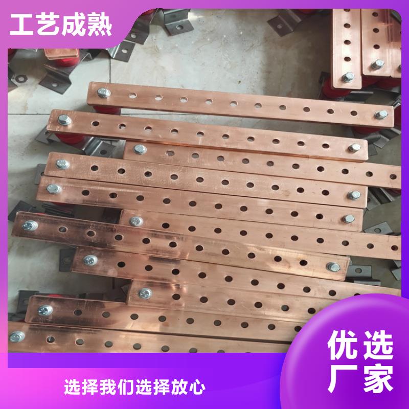 紫铜排厂家经验丰富