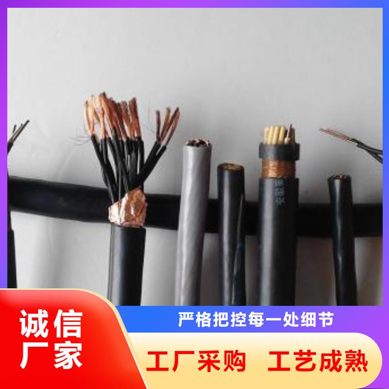 电线电缆RS485电缆甄选好厂家
