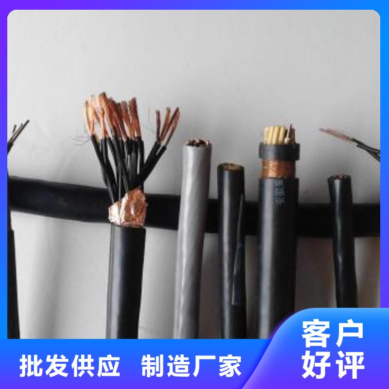 电线电缆PTYA23电缆就近发货