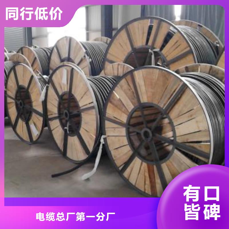 电线电缆,DJYVP电缆客户信赖的厂家