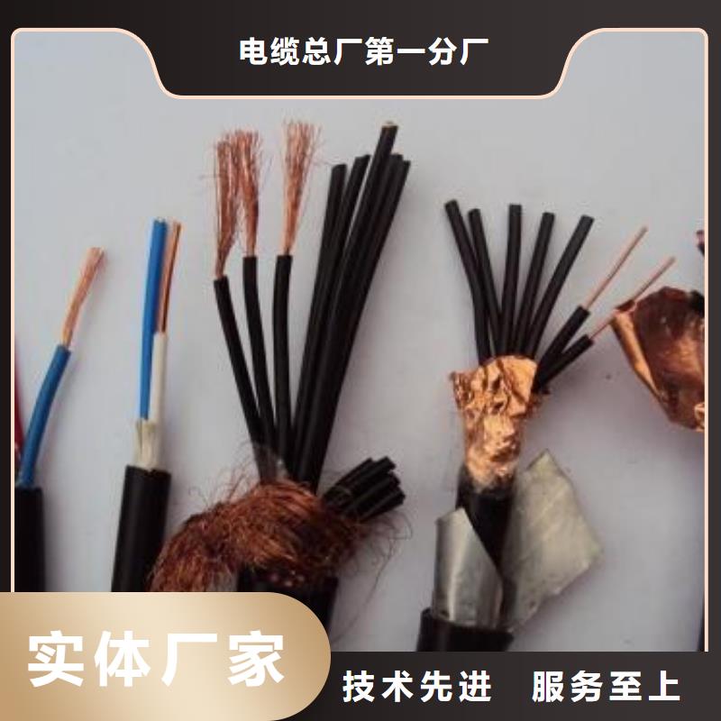 电线电缆PTYA23电缆追求品质