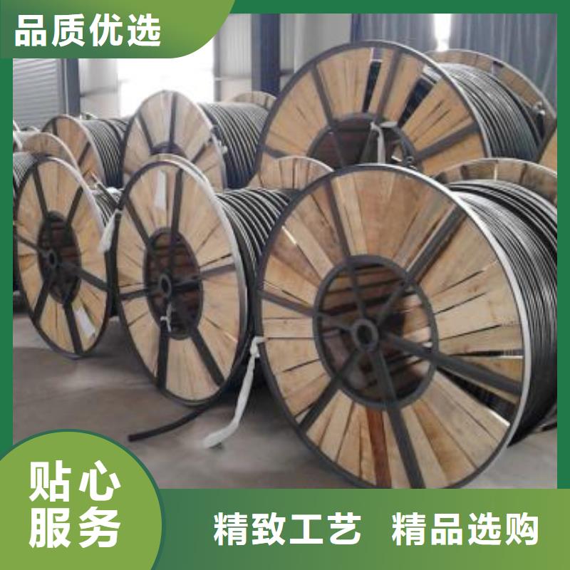 【电线电缆PTYA23电缆实拍展现】