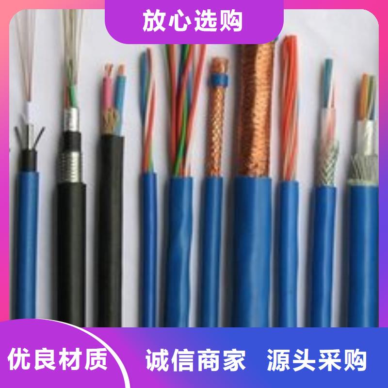 电线电缆PTYA23电缆信誉有保证