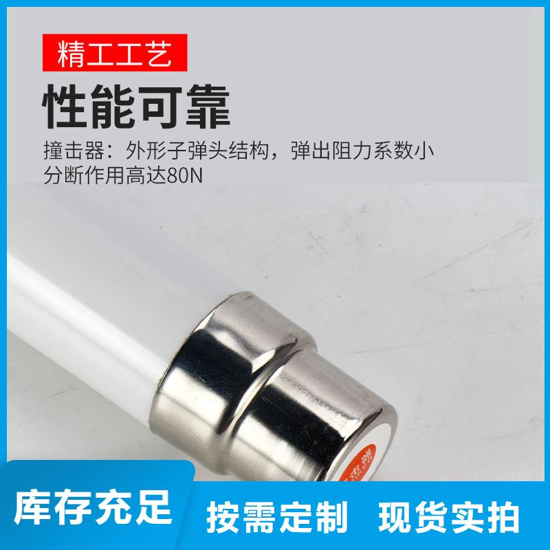 XRNP-24KV/0.2A限流熔断器