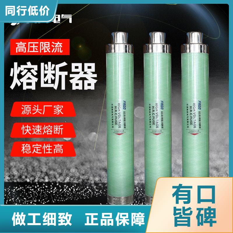 XRNP-24KV/0.2A限流熔断器