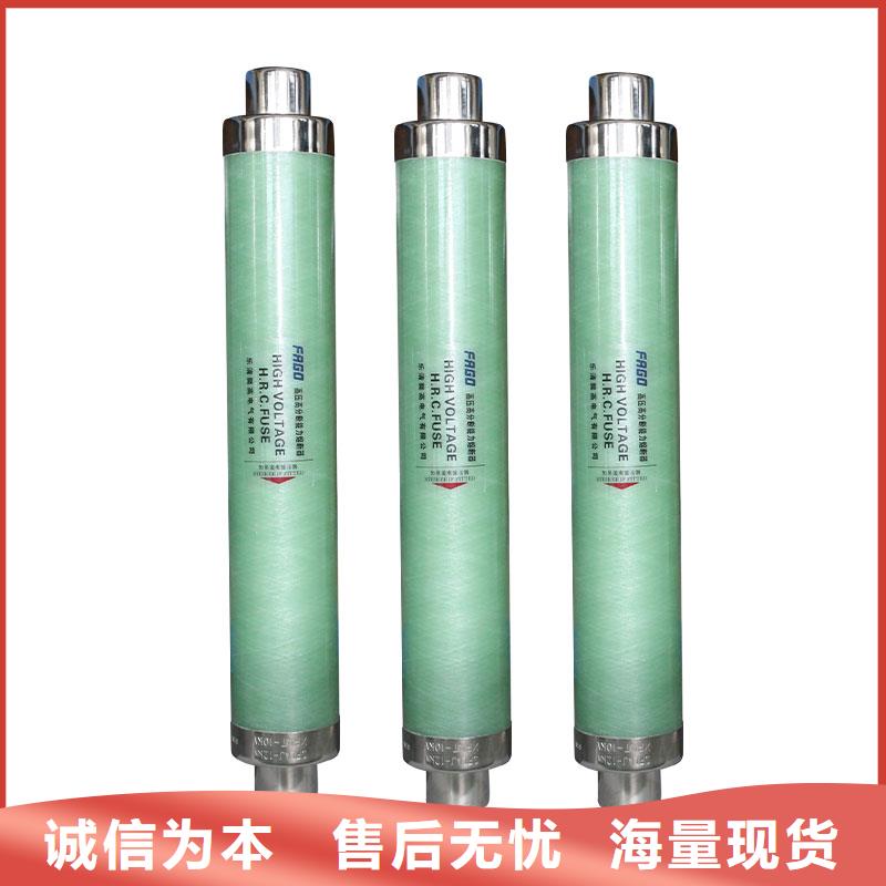XRNP-24KV/0.2A限流熔断器