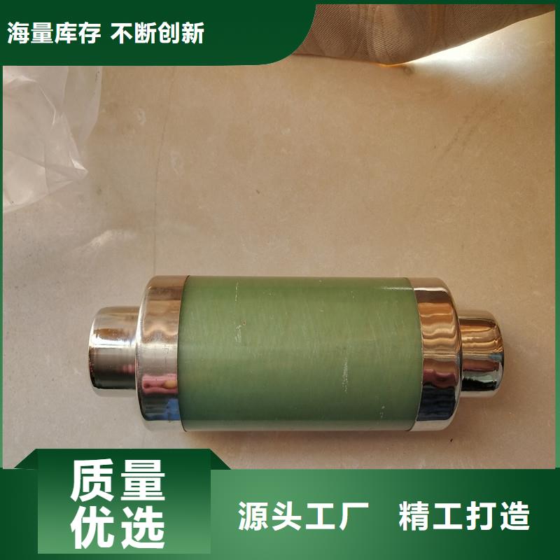 XRNP-24KV/0.2A限流熔断器