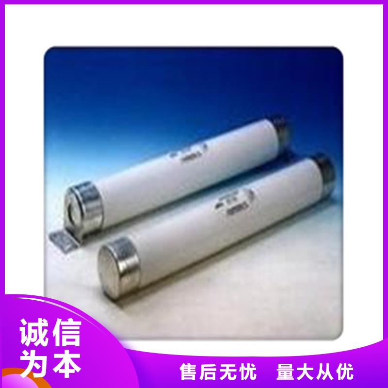 XRNP-24KV/0.2A限流熔断器