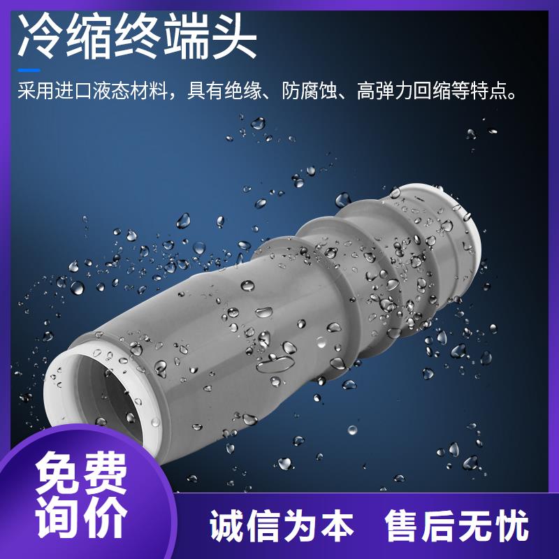 氧化锌避雷器供应视频-氧化锌避雷器供应|青海省黄南市|玉树|海东|西宁|海南|海北|海西|果洛