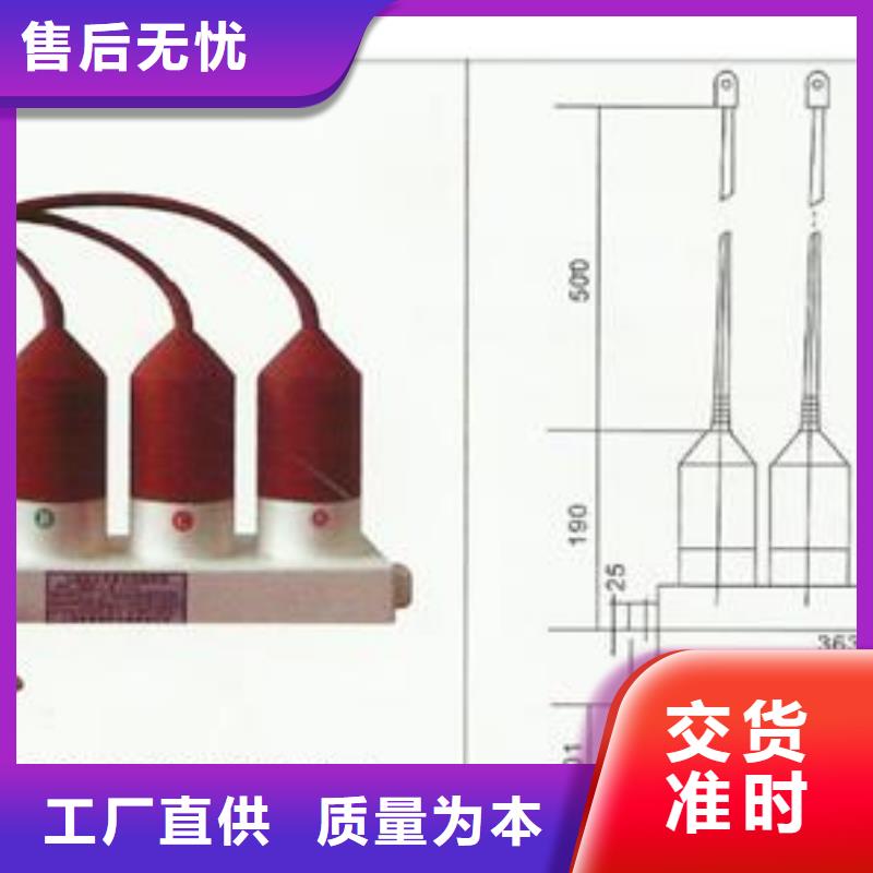 【过电压保护器】真空断路器厂家品质服务诚信为本