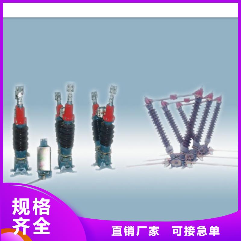隔离开关跌落式熔断器生产厂家可零售可批发
