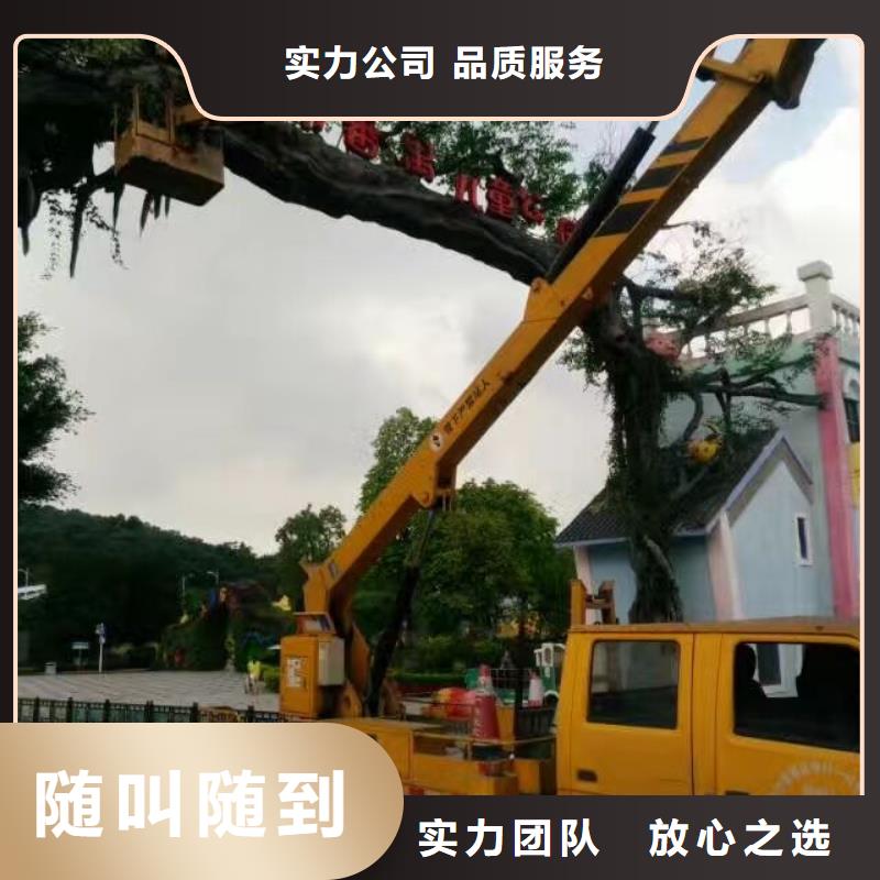 升吊车租赁视频-升吊车租赁-山西省忻州市(同城)公司-五寨|河曲|临汾|阳泉|晋中|大同|长治|运城