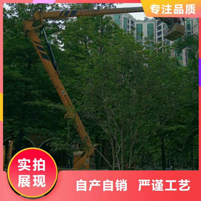 高空吊篮车租赁质量看得见畅销本地