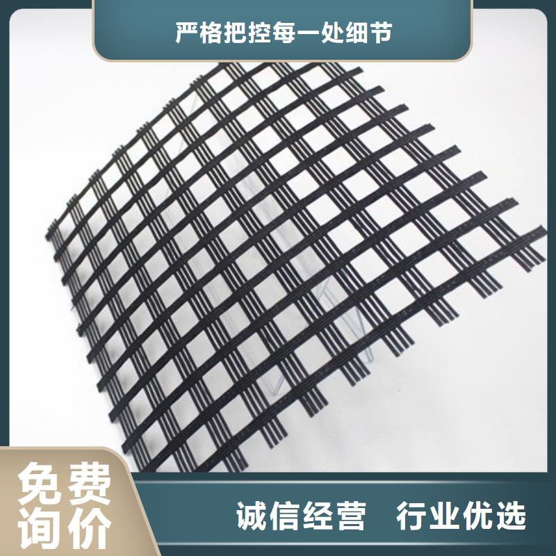 玻纤格栅三维植被网厂家直销