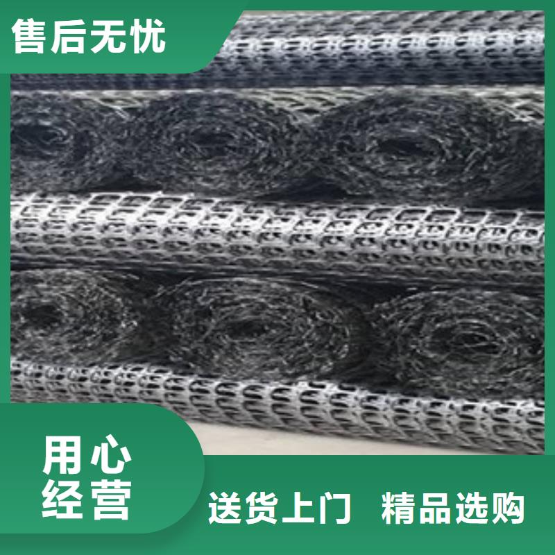 双向塑料格栅【三维植被网】设备齐全支持定制