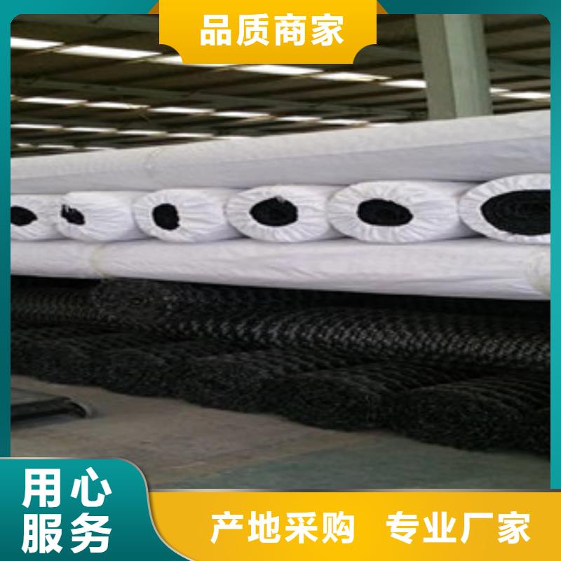 {路德}-|巴东|咸丰|十堰|荆州|襄阳|随州|荆门|黄石|咸宁【 双向塑料格栅_玻纤土工格栅批发货源】-路德土工格栅生产厂家(恩施市分公司)
