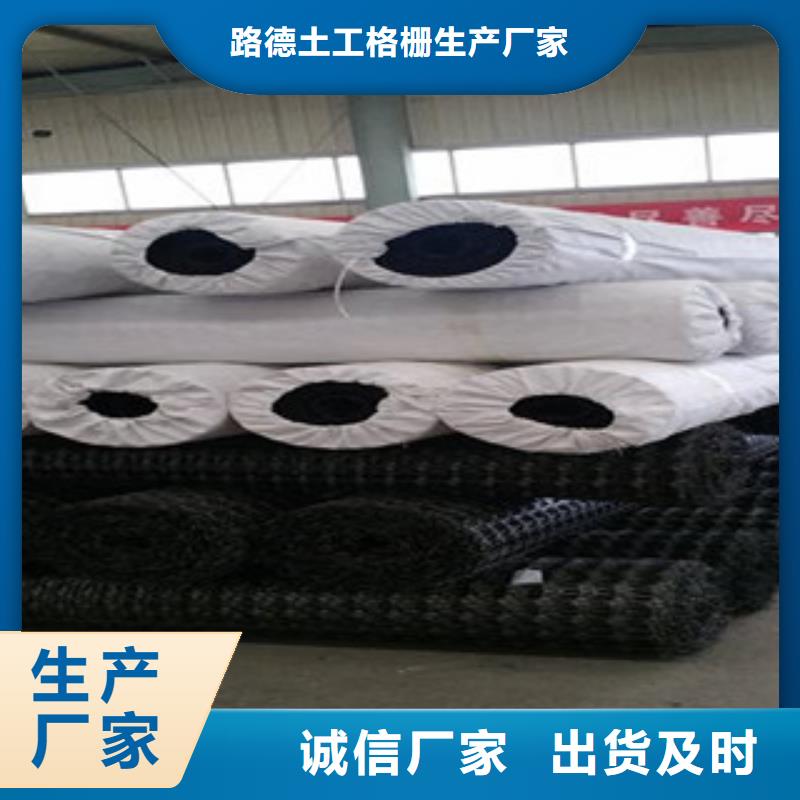 双向塑料格栅塑料排水板您想要的我们都有