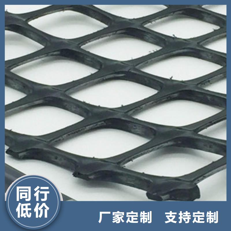 双向塑料格栅【三维植被网】设备齐全支持定制