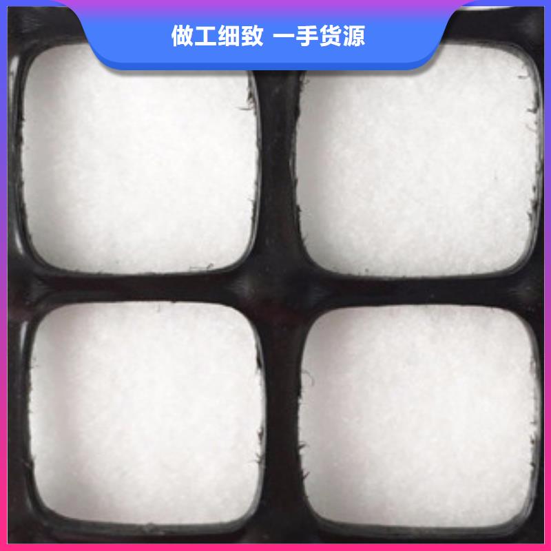 双向塑料格栅【三维植被网】设备齐全支持定制