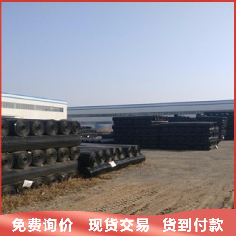 双向塑料格栅【三维植被网】设备齐全支持定制