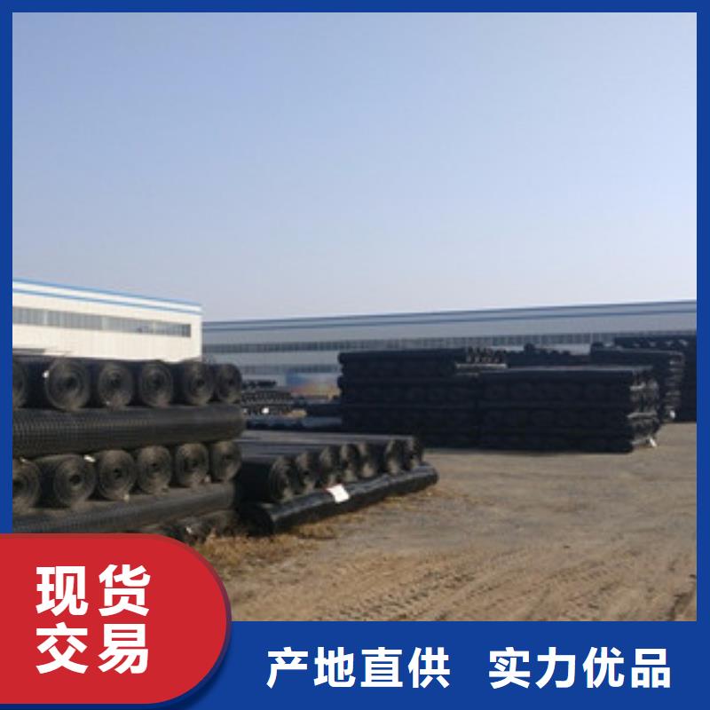 双向塑料格栅三维植被网精心