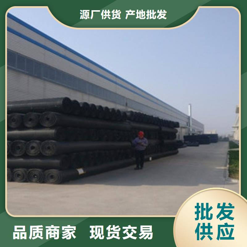 双向塑料格栅塑料排水板质量安心