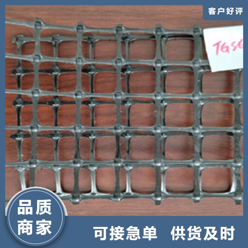 双向塑料格栅-三维植被网定金锁价