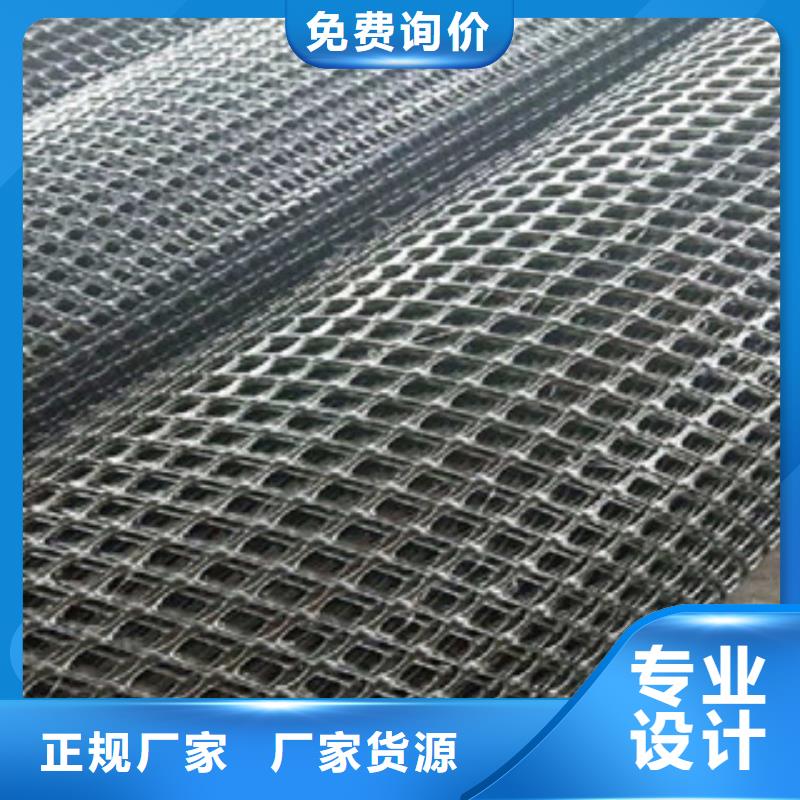 双向塑料格栅-三维植被网定金锁价