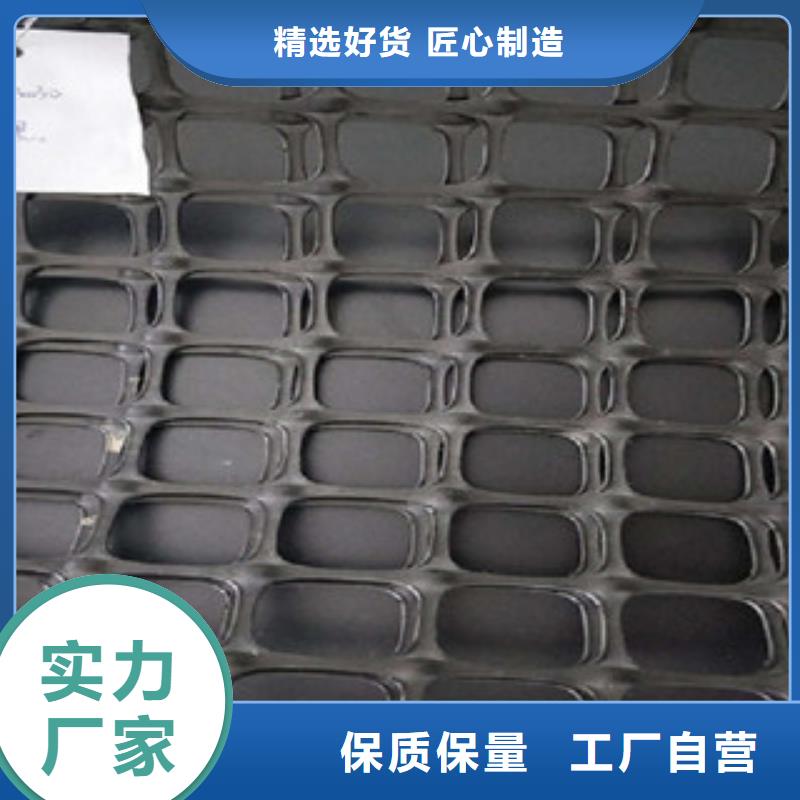 双向塑料格栅-三维植被网定金锁价