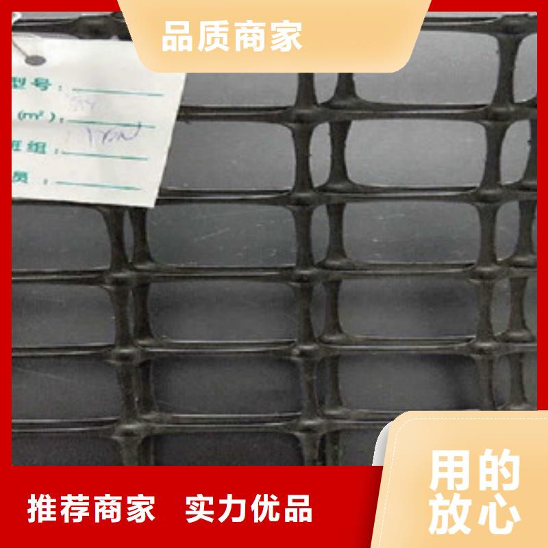 双向塑料格栅-三维植被网定金锁价