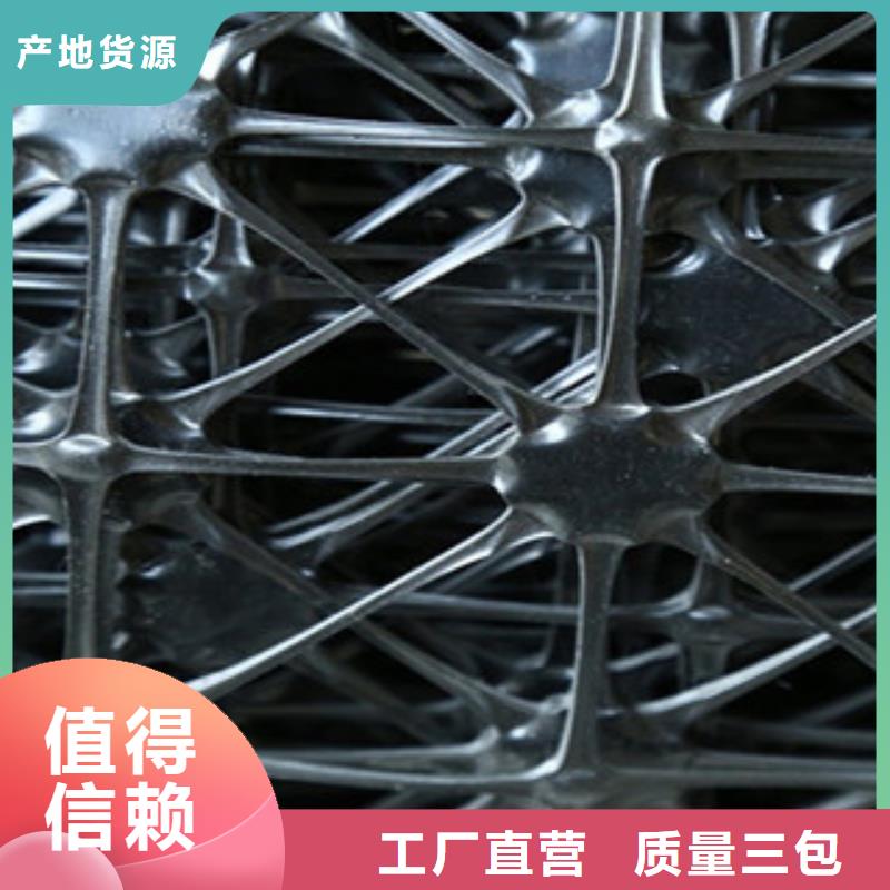 双向塑料格栅-三维植被网定金锁价