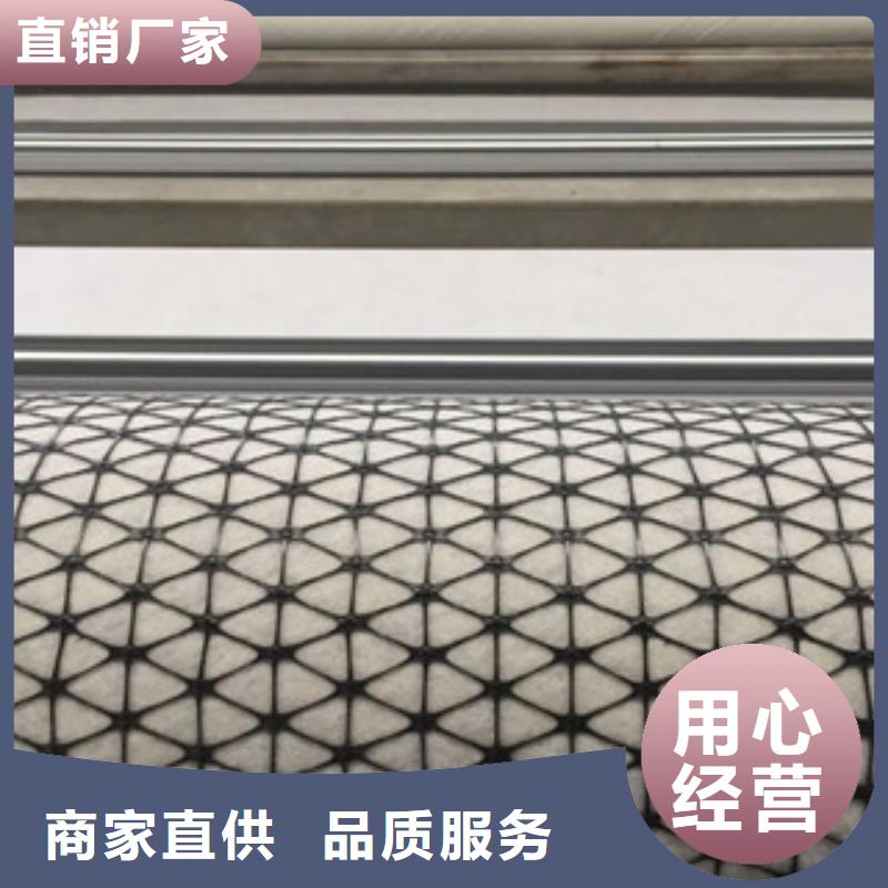 双向塑料格栅-三维植被网定金锁价