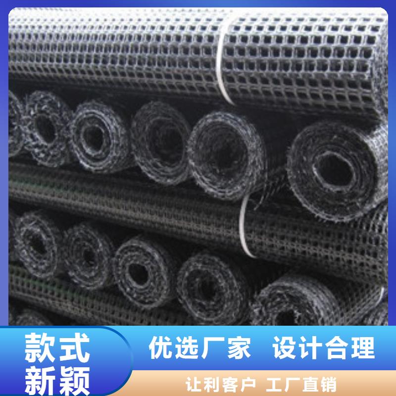 双向塑料格栅-三维植被网定金锁价