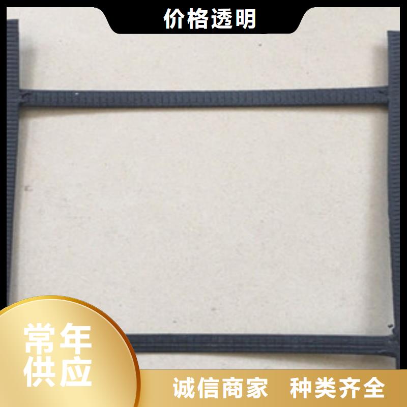 钢塑土工格栅三维植被网选择大厂家省事省心