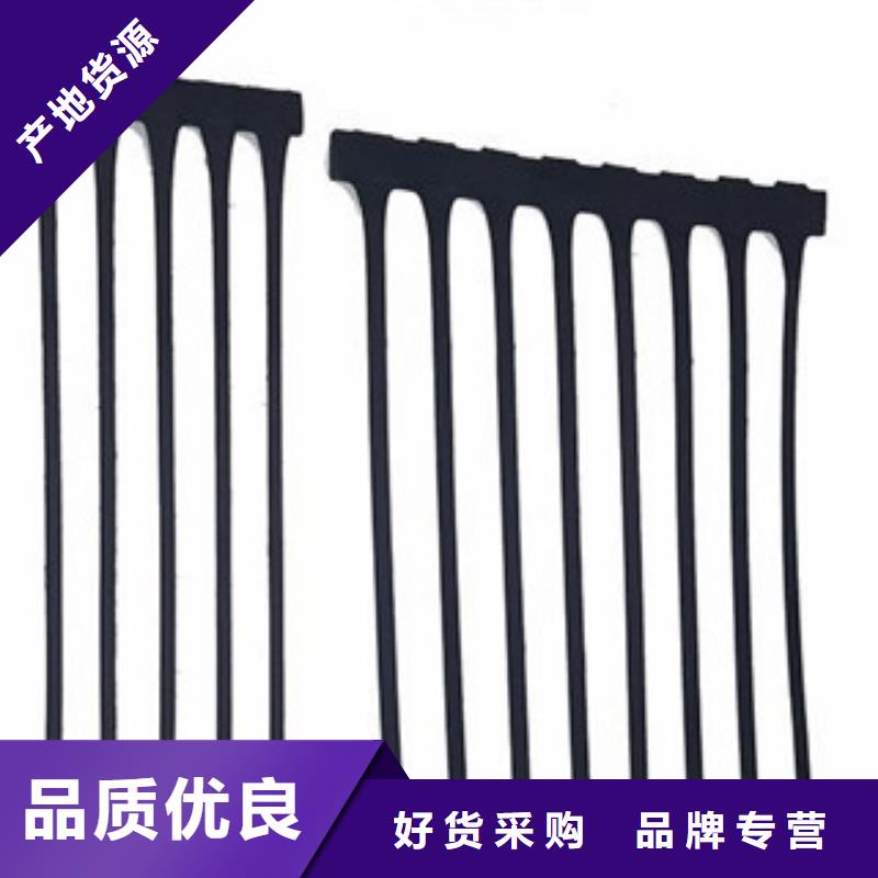 单向塑料格栅_塑料排水板品质卓越