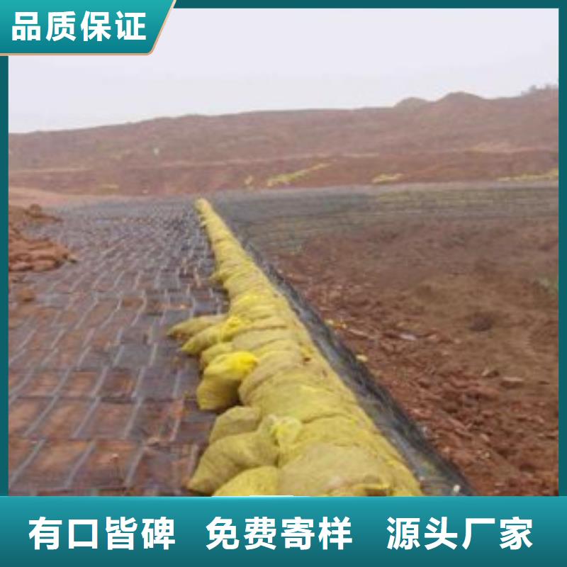 单向塑料格栅_塑料排水板品质卓越