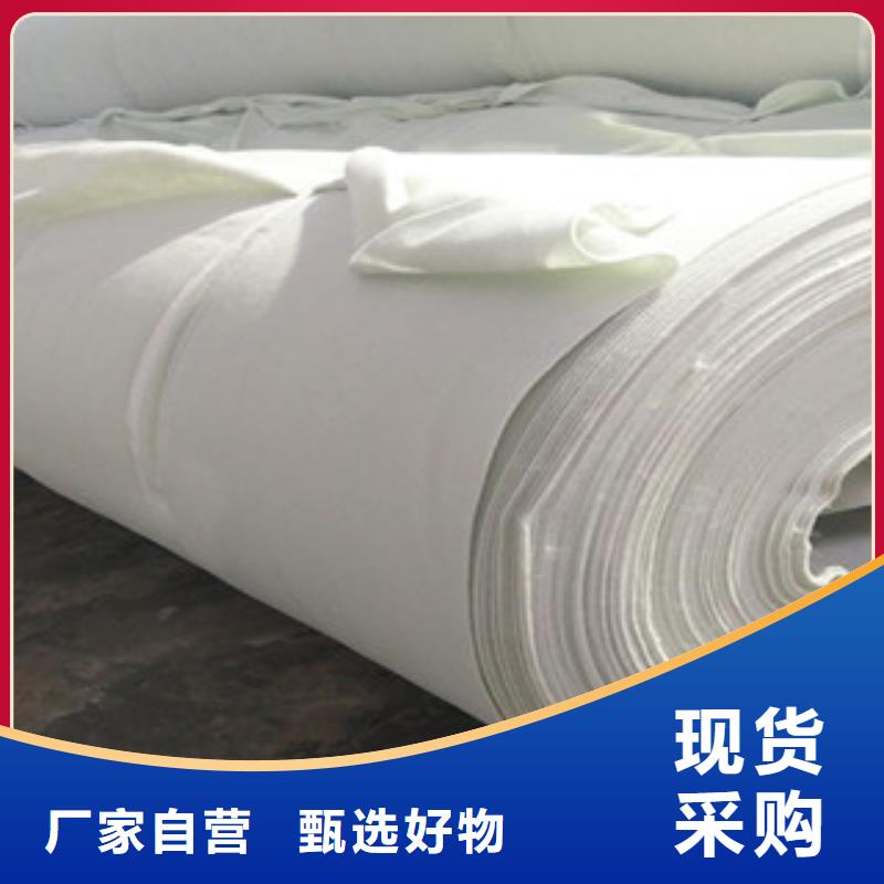 土工布【玻纤土工格栅】工艺精细质保长久质检严格