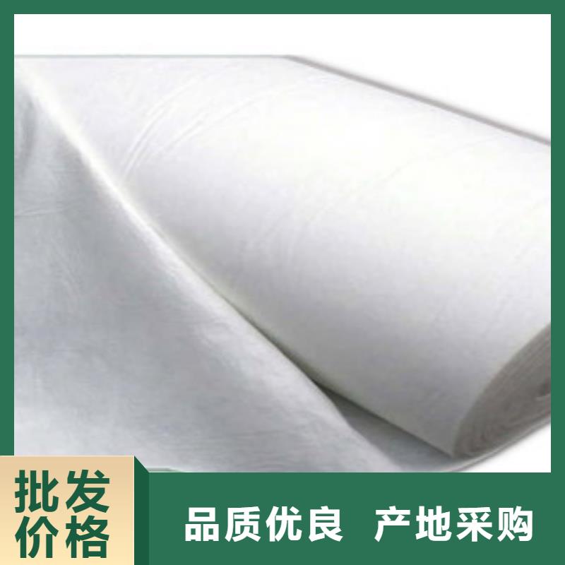 土工布【玻纤土工格栅】工艺精细质保长久质检严格