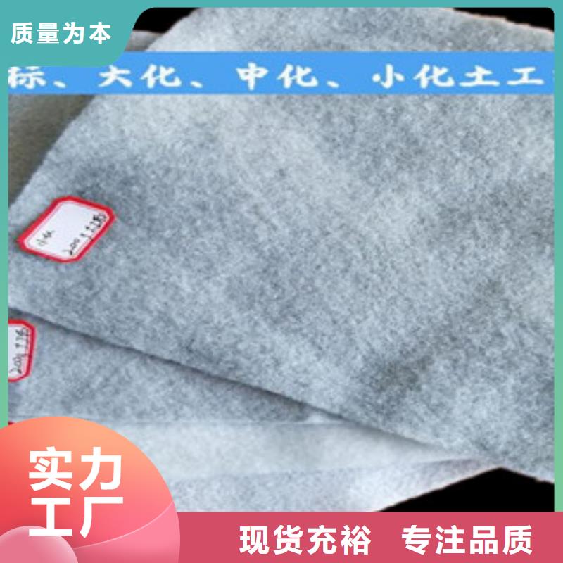 土工布【玻纤土工格栅】工艺精细质保长久质检严格